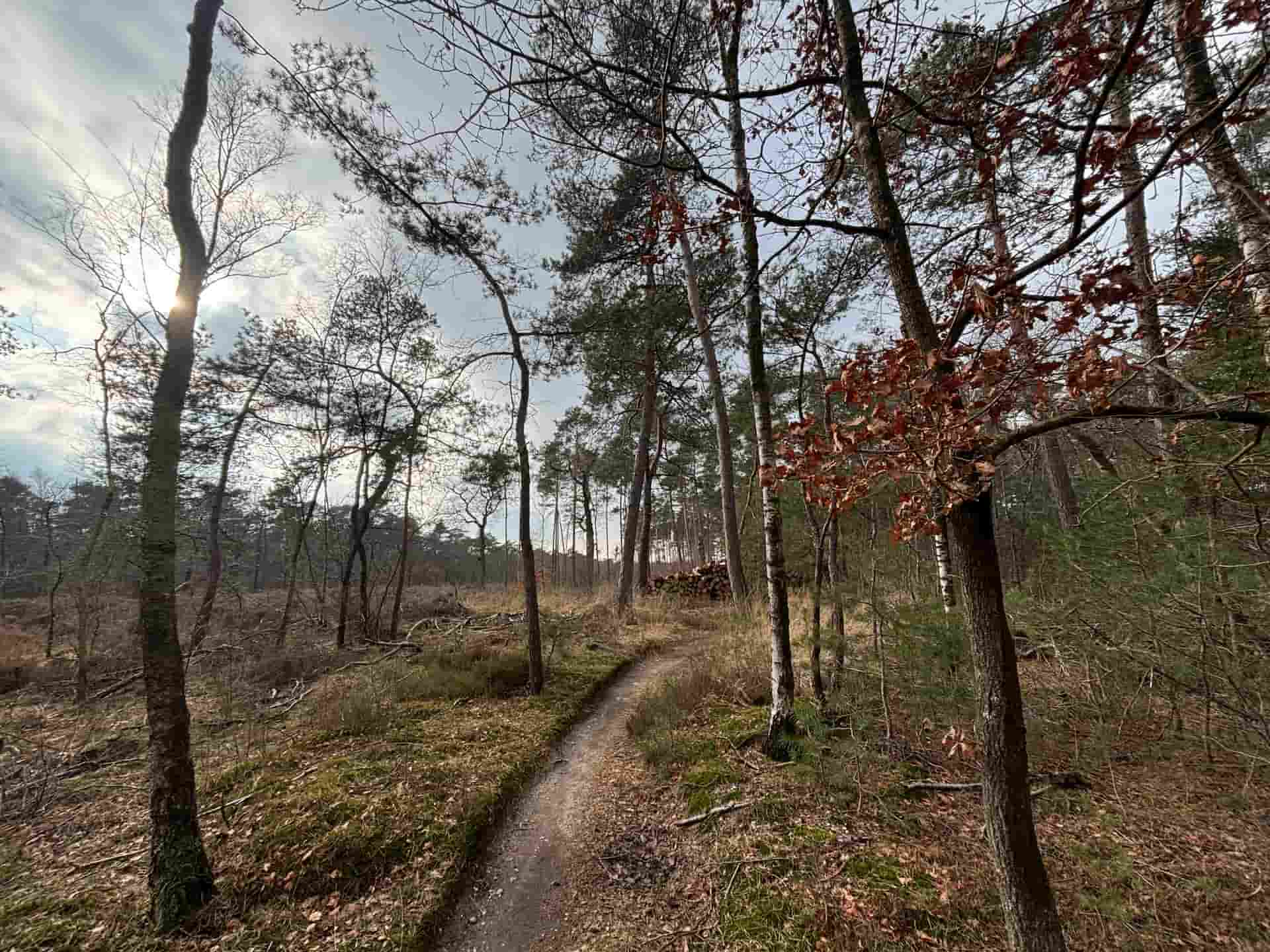 Mtb Center Austerlitz 4