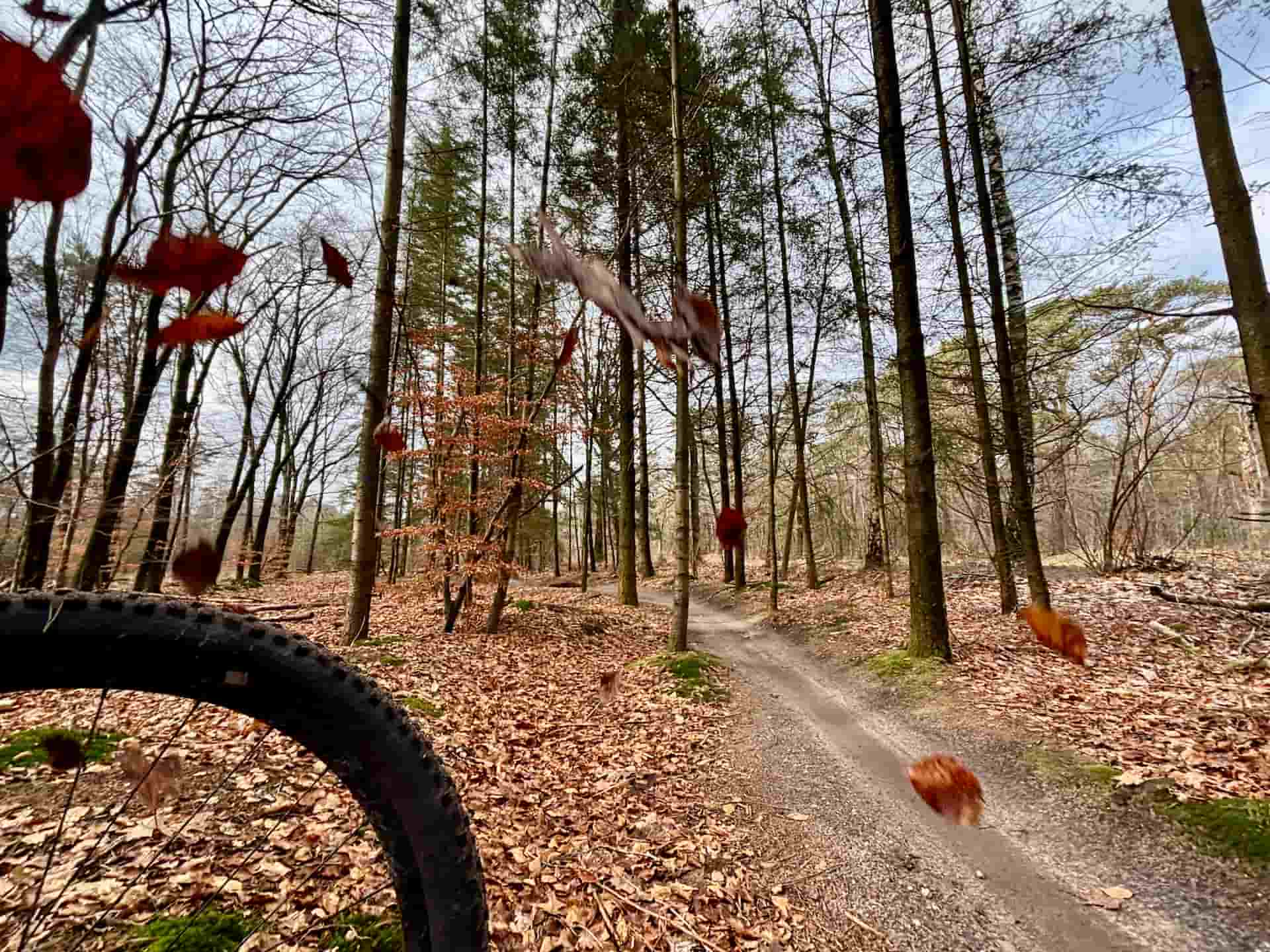 Mtb Center Austerlitz 1