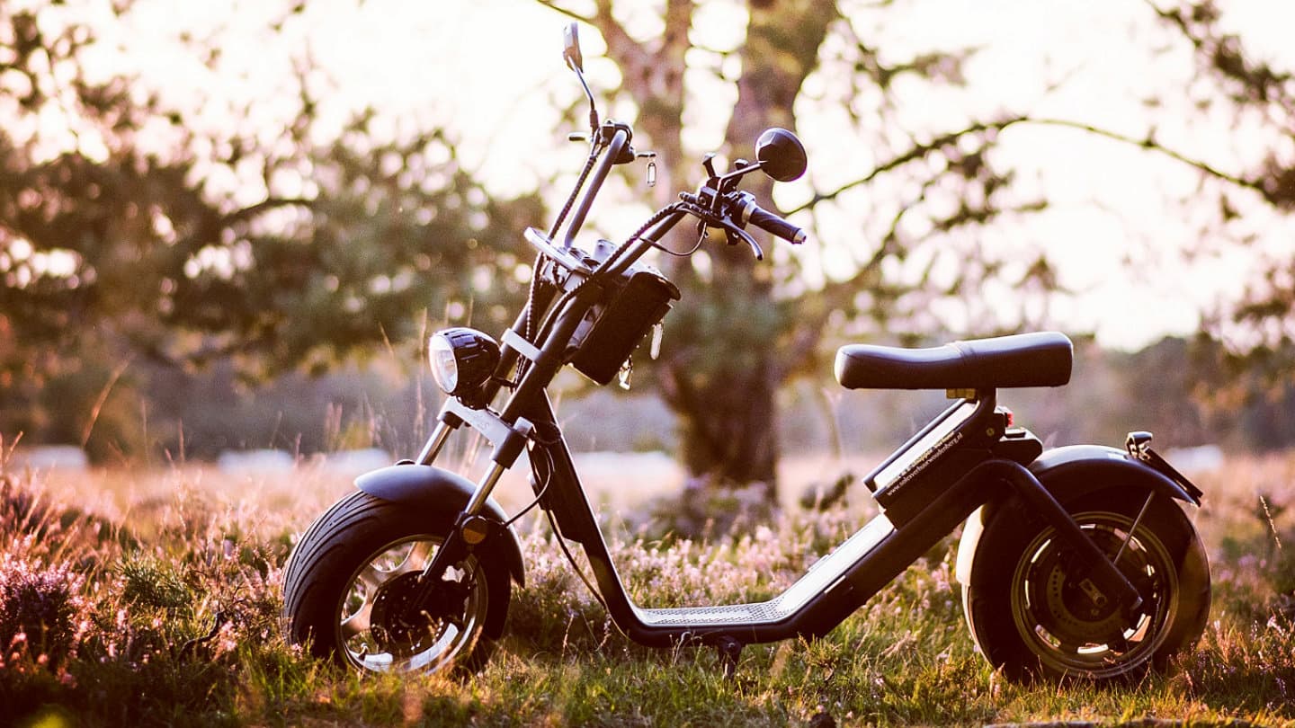 E-Chopper