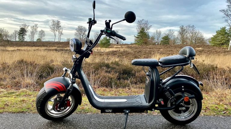 duo e-Chopper
