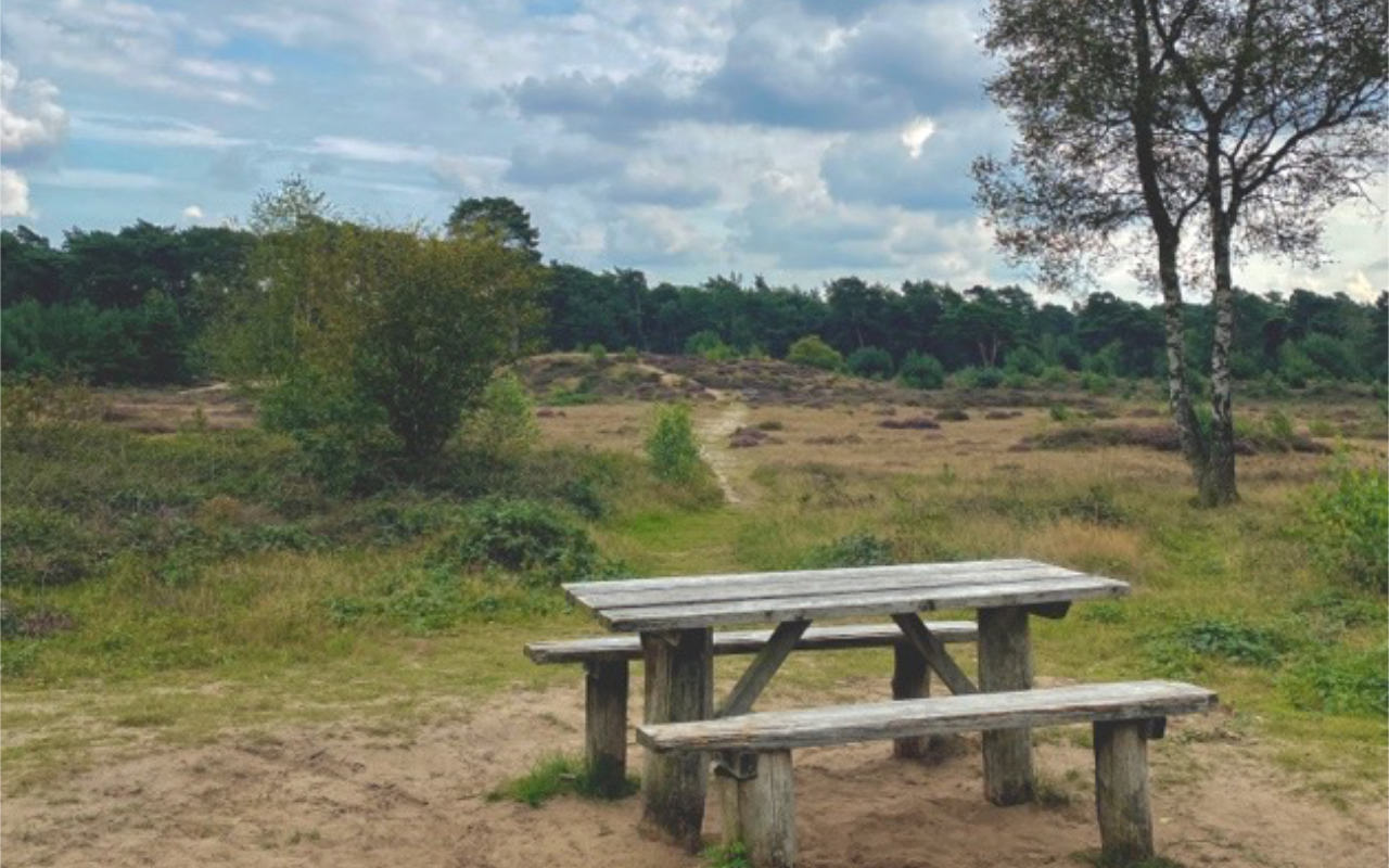 Picknick Leersumse Veld