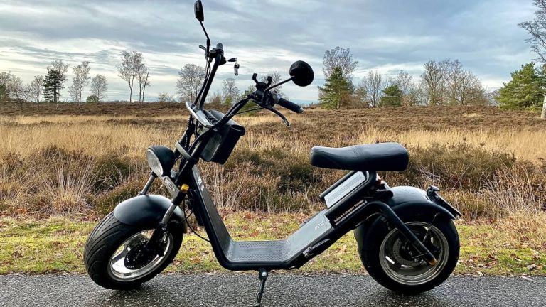 e-Chopper